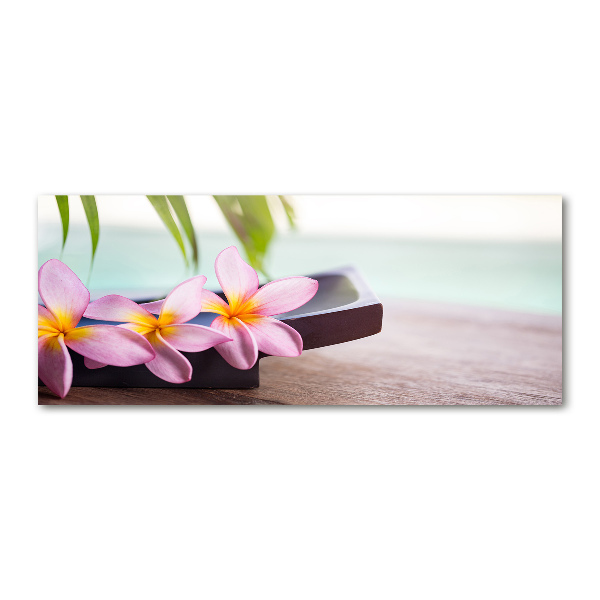 Acrylbild Fotodruck Plumeria