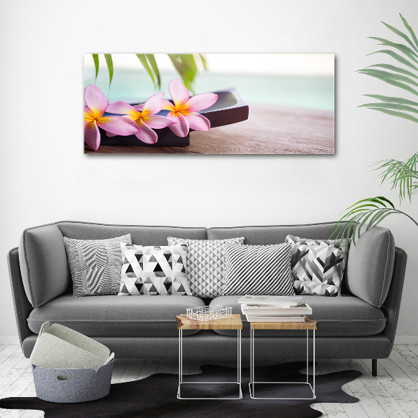 Acrylbild Fotodruck Plumeria