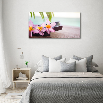 Acrylbild Fotodruck Plumeria