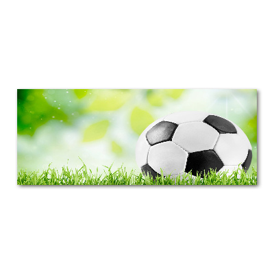 Acrylbild Fotodruck Fußball