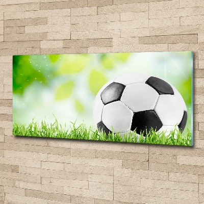 Acrylbild Fotodruck Fußball