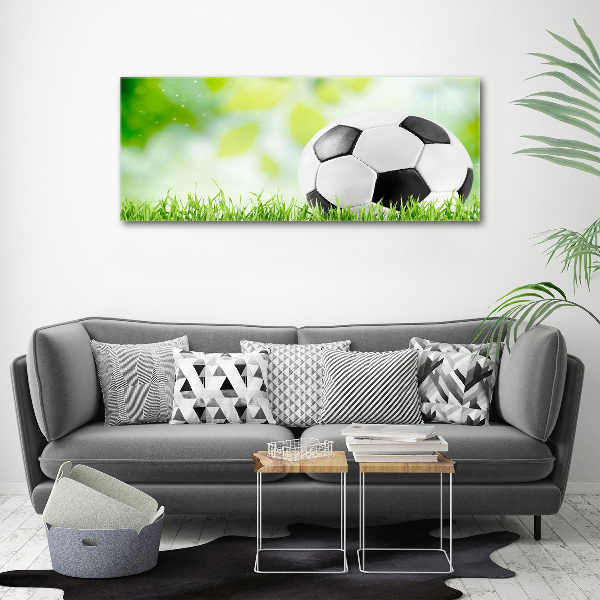 Acrylbild Fotodruck Fußball