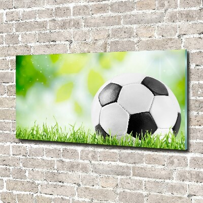 Acrylbild Fotodruck Fußball