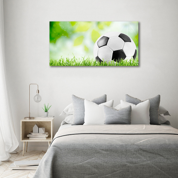 Acrylbild Fotodruck Fußball