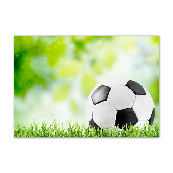 Acrylbild Fotodruck Fußball