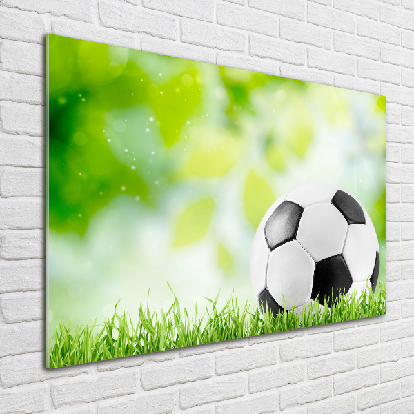 Acrylbild Fotodruck Fußball