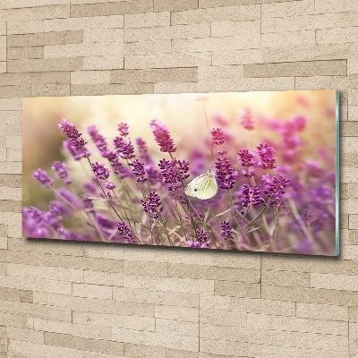 Acrylbild Fotodruck Lavendel