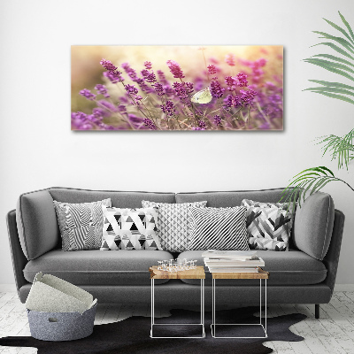 Acrylbild Fotodruck Lavendel