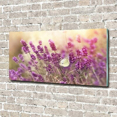 Acrylbild Fotodruck Lavendel
