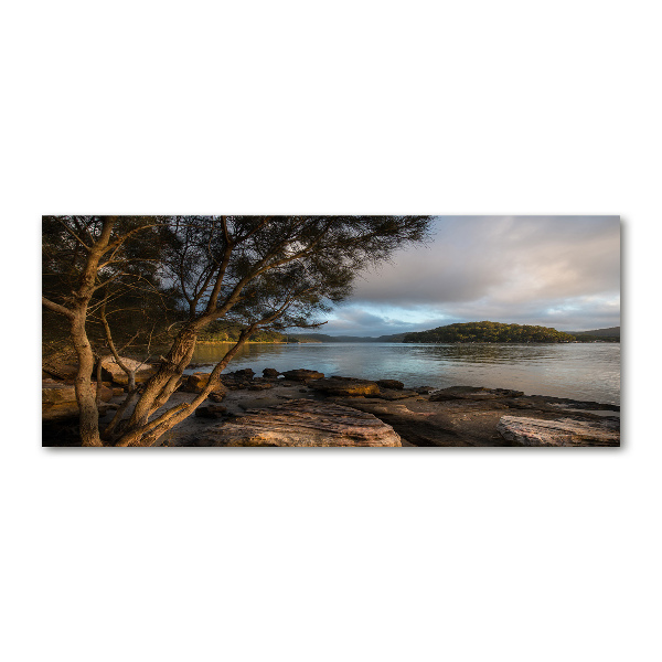 Acrylbild Fotodruck Ein Baum am Fluss