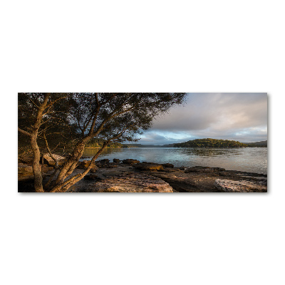 Acrylbild Fotodruck Ein Baum am Fluss