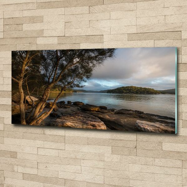 Acrylbild Fotodruck Ein Baum am Fluss