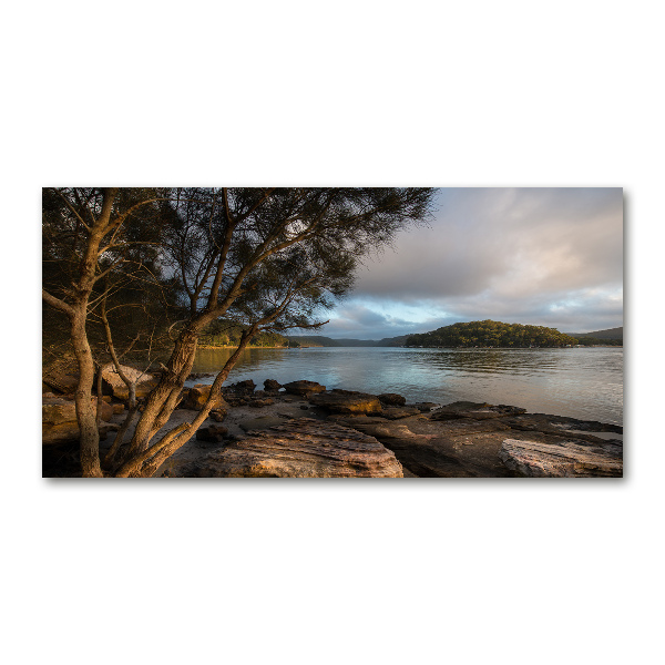 Acrylbild Fotodruck Ein Baum am Fluss