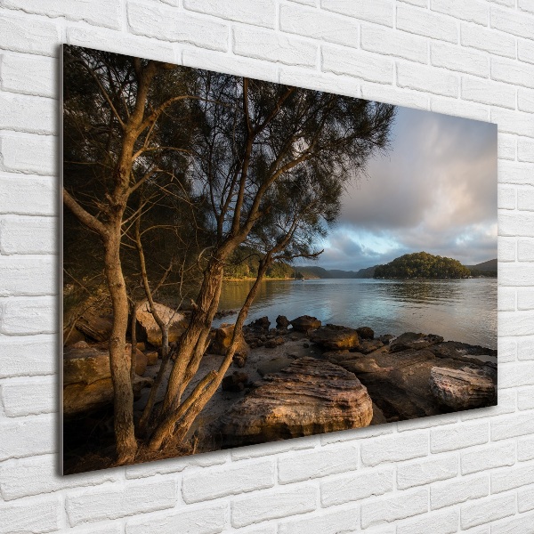 Acrylbild Fotodruck Ein Baum am Fluss