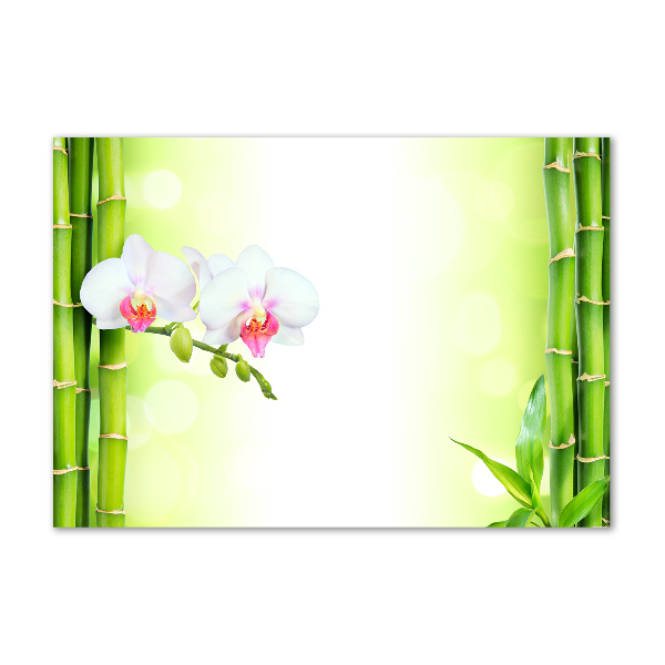 Acrylglas-Druck Orchidee und Bambus