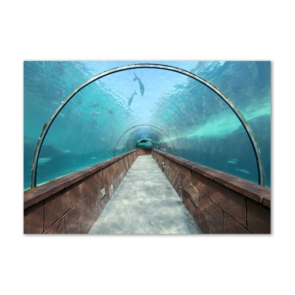 Foto auf Acryl Aquariumtunnel