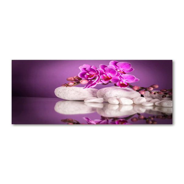 Bild auf Acrylglas Rosa Orchidee