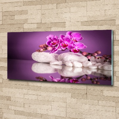 Bild auf Acrylglas Rosa Orchidee