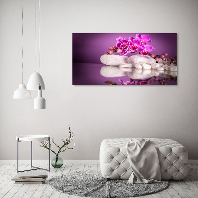 Bild auf Acrylglas Rosa Orchidee