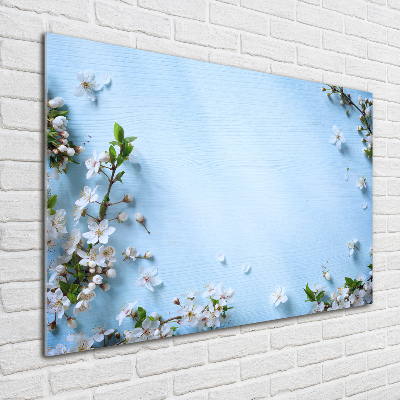 Foto auf Acryl Kirschblüten im Hintergrund