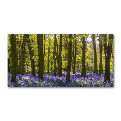 Acrylglas-Druck Wald im Frühling