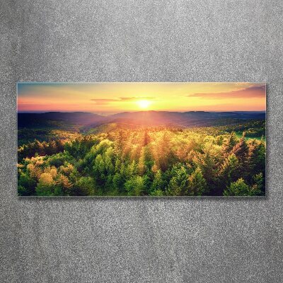 Bild auf Acrylglas Sonnenuntergang im Wald