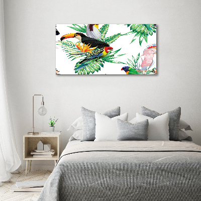 Foto auf Acryl Tropische Vögel