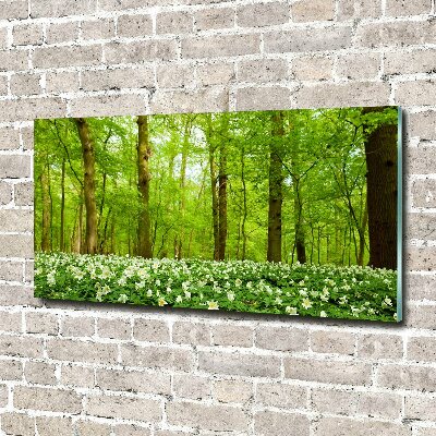 Bild auf Acrylglas Blumen im Wald