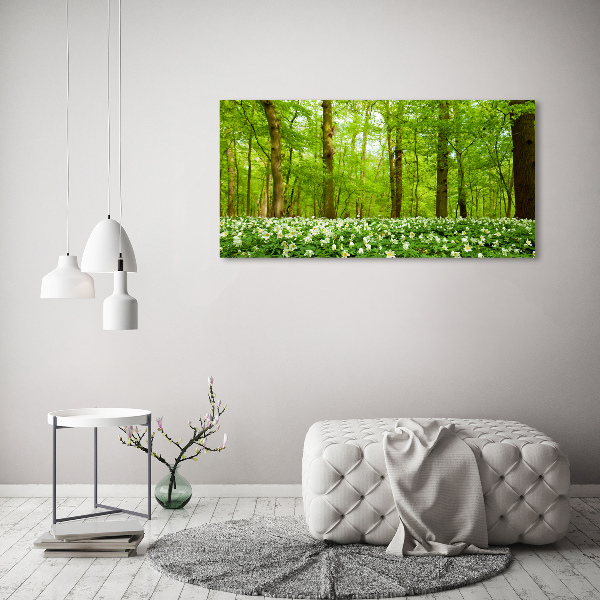 Bild auf Acrylglas Blumen im Wald