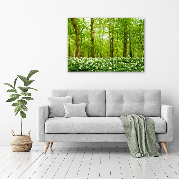 Bild auf Acrylglas Blumen im Wald