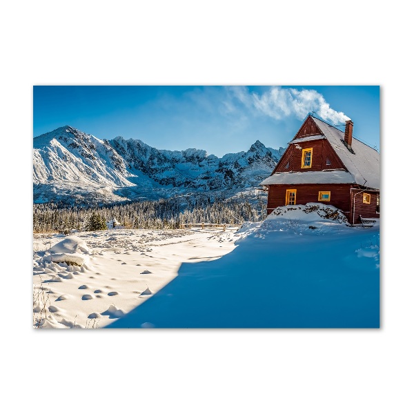 Bild auf Acrylglas Ein Ferienhaus in den Bergen