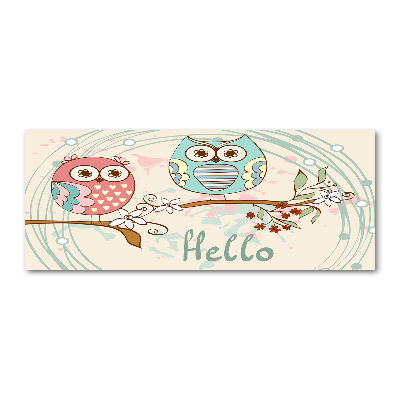 Foto auf Acryl Eulen