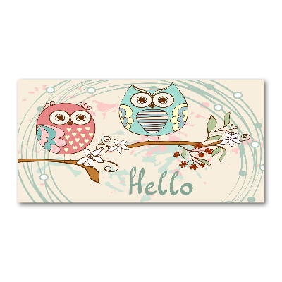 Foto auf Acryl Eulen