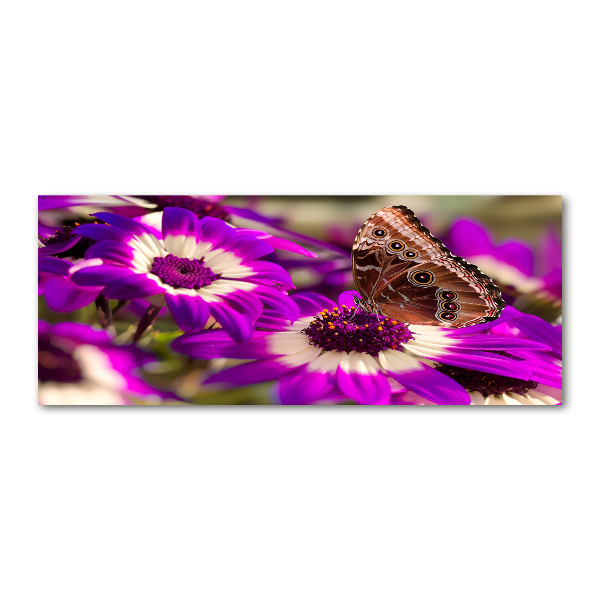 Foto auf Acryl Schmetterling auf einer Blume