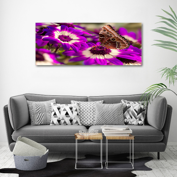 Foto auf Acryl Schmetterling auf einer Blume