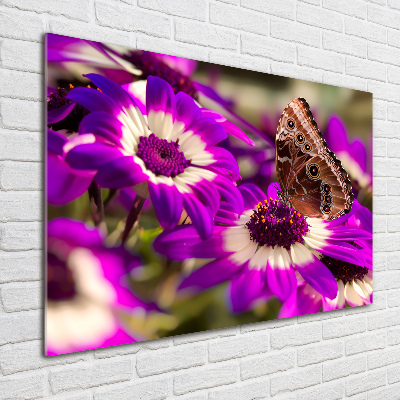 Foto auf Acryl Schmetterling auf einer Blume