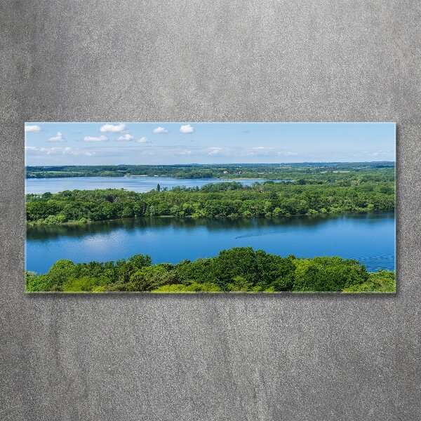 Foto auf Acryl Wald am See