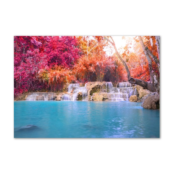 Bild auf Acrylglas Wasserfall im Wald