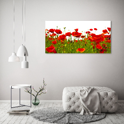 Bild auf Acrylglas Wildmohn