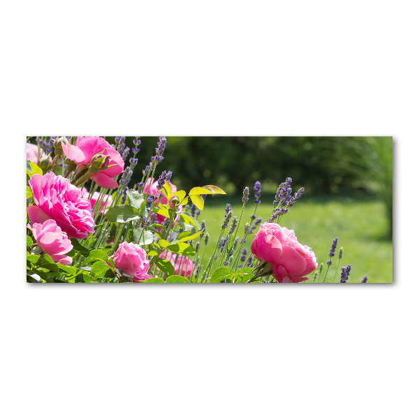 Acrylbild Fotodruck Dornen