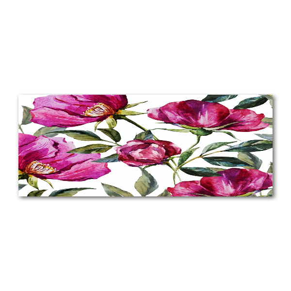 Foto auf Acryl Rosa Pfingstrosen