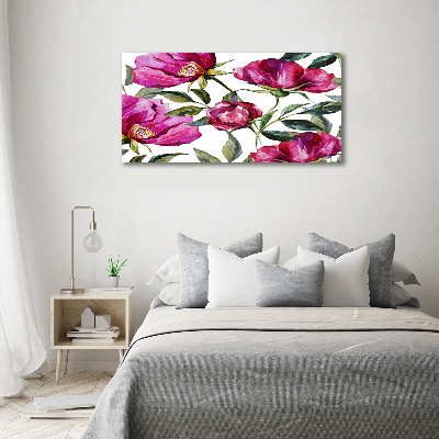 Foto auf Acryl Rosa Pfingstrosen
