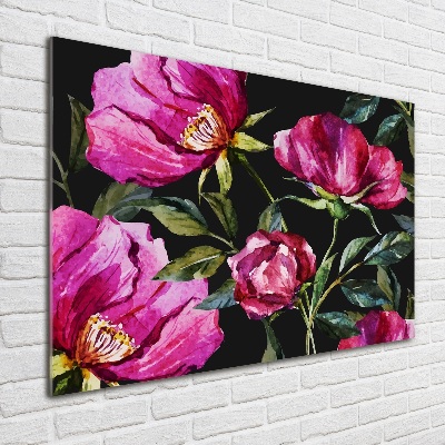 Bild auf Acrylglas Rosa Pfingstrosen