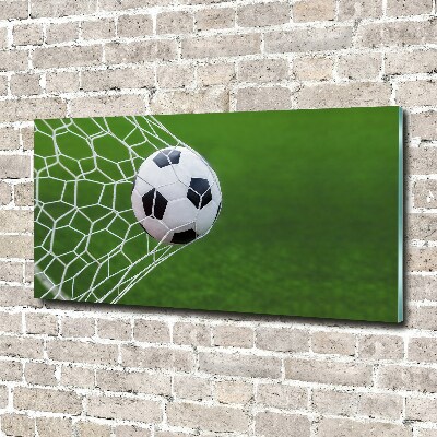 Foto auf Acryl Der Ball ist im Tor