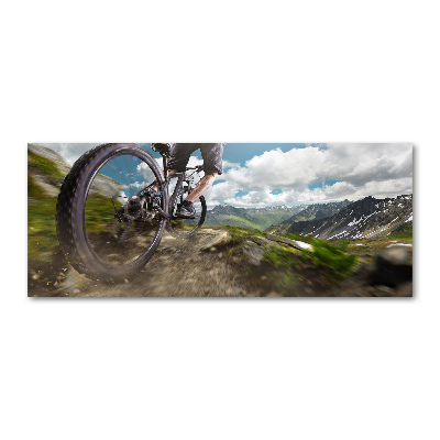 Bild auf Acrylglas Mountainbiken