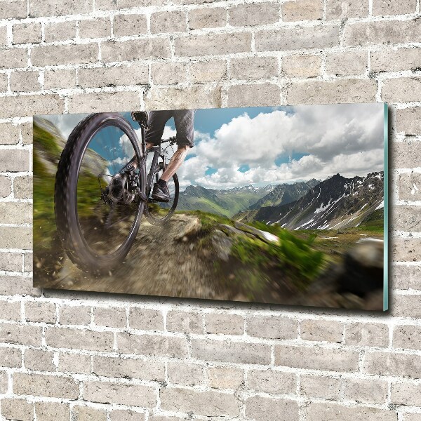 Bild auf Acrylglas Mountainbiken