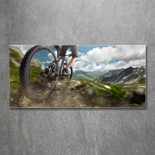 Bild auf Acrylglas Mountainbiken