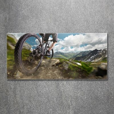 Bild auf Acrylglas Mountainbiken