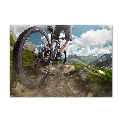 Bild auf Acrylglas Mountainbiken