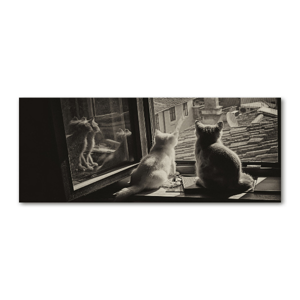 Acrylglas-Druck Katzen am Fenster